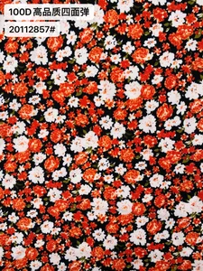 Pattern #100D高品质四面弹20112857# - 100D高品质四面弹20112857# Performance Fabric