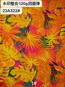 Pattern #23A322 - 23A322 Performance Fabric